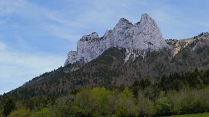 Preview wallpaper mountain, meadow, trees, greenery, landscape