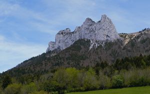 Preview wallpaper mountain, meadow, trees, greenery, landscape