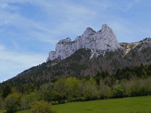 Preview wallpaper mountain, meadow, trees, greenery, landscape