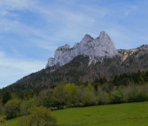 Preview wallpaper mountain, meadow, trees, greenery, landscape