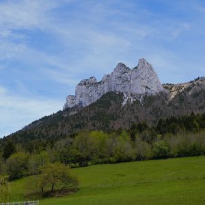 Preview wallpaper mountain, meadow, trees, greenery, landscape