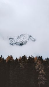 Preview wallpaper mountain, peak, cloud, trees