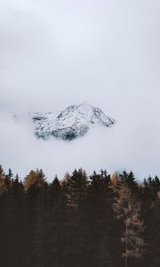 Preview wallpaper mountain, peak, cloud, trees