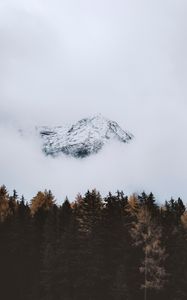 Preview wallpaper mountain, peak, cloud, trees
