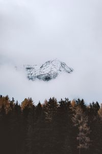 Preview wallpaper mountain, peak, cloud, trees