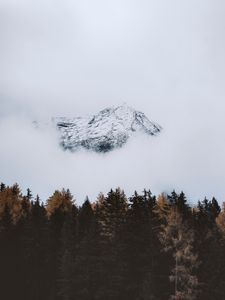 Preview wallpaper mountain, peak, cloud, trees