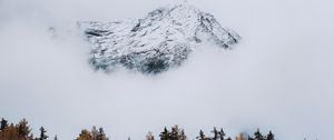 Preview wallpaper mountain, peak, cloud, trees