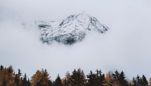 Preview wallpaper mountain, peak, cloud, trees