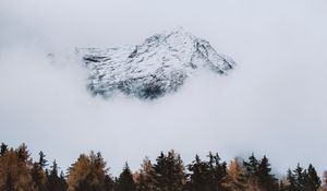 Preview wallpaper mountain, peak, cloud, trees