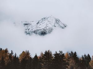 Preview wallpaper mountain, peak, cloud, trees