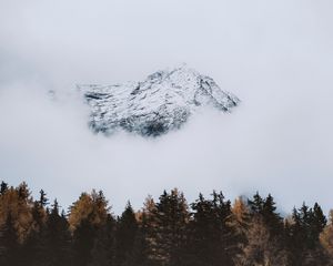 Preview wallpaper mountain, peak, cloud, trees