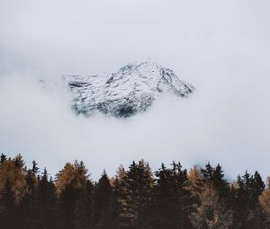 Preview wallpaper mountain, peak, cloud, trees