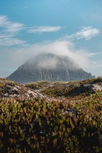 Preview wallpaper mountain, peak, clouds, vegetation, landscape