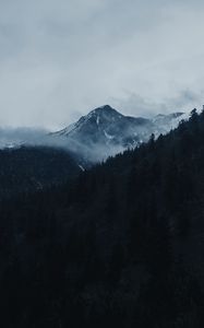 Preview wallpaper mountain, peak, clouds, trees, landscape