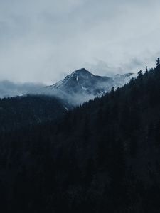 Preview wallpaper mountain, peak, clouds, trees, landscape