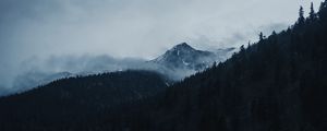 Preview wallpaper mountain, peak, clouds, trees, landscape