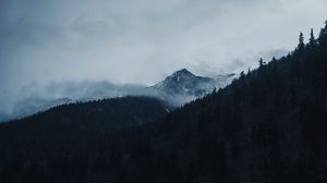 Preview wallpaper mountain, peak, clouds, trees, landscape