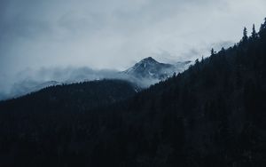 Preview wallpaper mountain, peak, clouds, trees, landscape