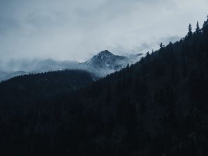 Preview wallpaper mountain, peak, clouds, trees, landscape