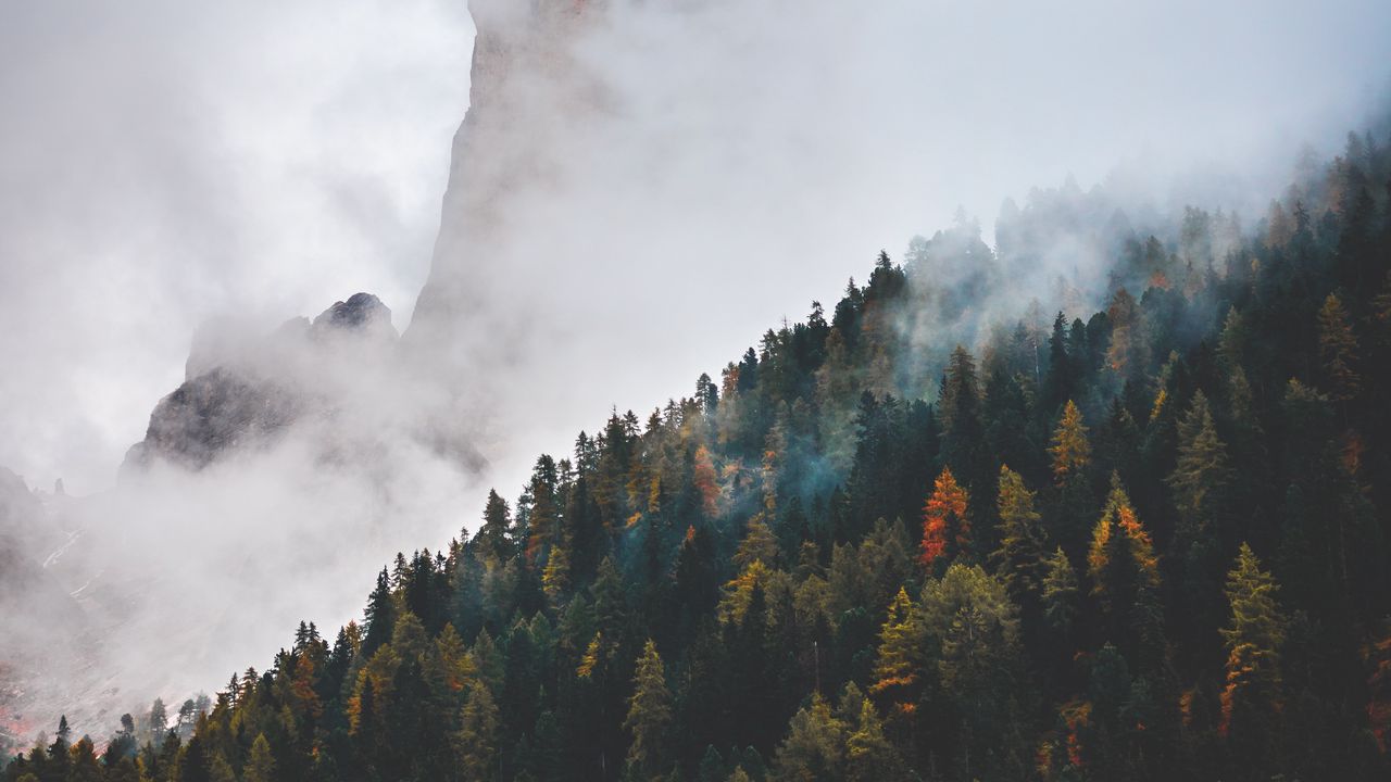 Wallpaper mountain, peak, clouds, forest