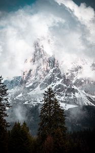 Preview wallpaper mountain, peak, clouds, snow, trees, landscape