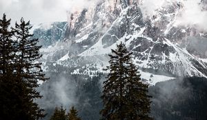 Preview wallpaper mountain, peak, clouds, snow, trees, landscape
