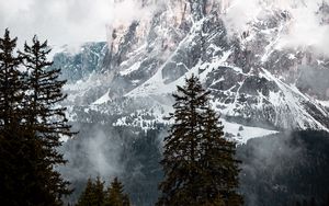 Preview wallpaper mountain, peak, clouds, snow, trees, landscape