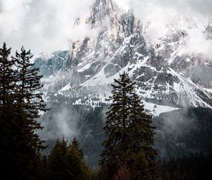 Preview wallpaper mountain, peak, clouds, snow, trees, landscape