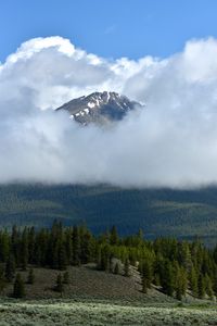 Preview wallpaper mountain, peak, clouds, trees, nature, landscape