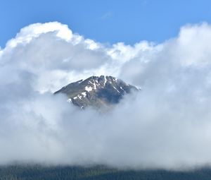 Preview wallpaper mountain, peak, clouds, trees, nature, landscape