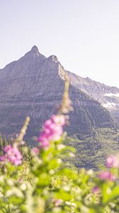 Preview wallpaper mountain, peak, flowers, blur, landscape