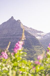 Preview wallpaper mountain, peak, flowers, blur, landscape