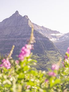 Preview wallpaper mountain, peak, flowers, blur, landscape