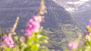 Preview wallpaper mountain, peak, flowers, blur, landscape