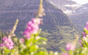 Preview wallpaper mountain, peak, flowers, blur, landscape