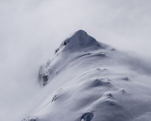 Preview wallpaper mountain, peak, fog, snow, snowy