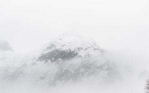 Preview wallpaper mountain, peak, fog, trees, landscape, winter