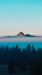 Preview wallpaper mountain, peak, fog, trees, landscape