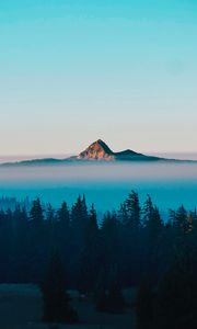 Preview wallpaper mountain, peak, fog, trees, landscape