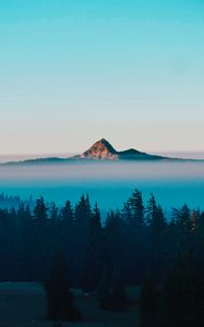 Preview wallpaper mountain, peak, fog, trees, landscape