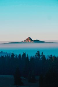 Preview wallpaper mountain, peak, fog, trees, landscape