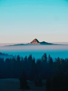 Preview wallpaper mountain, peak, fog, trees, landscape