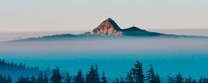 Preview wallpaper mountain, peak, fog, trees, landscape