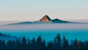 Preview wallpaper mountain, peak, fog, trees, landscape