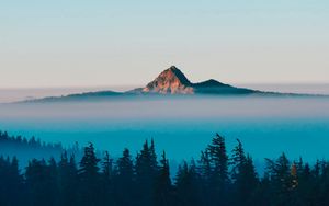 Preview wallpaper mountain, peak, fog, trees, landscape