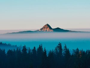 Preview wallpaper mountain, peak, fog, trees, landscape