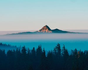 Preview wallpaper mountain, peak, fog, trees, landscape