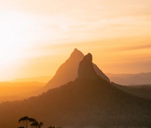 Preview wallpaper mountain, peak, fog, trees, sunset