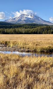 Preview wallpaper mountain, peak, forest, valley, grass, river, landscape
