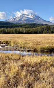 Preview wallpaper mountain, peak, forest, valley, grass, river, landscape